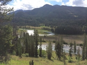 horse pack trips in yellowstone