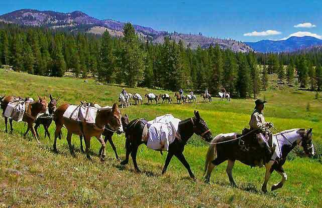 horse packing trips