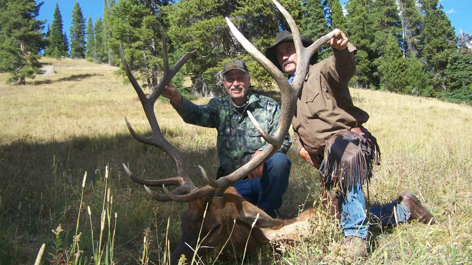 wyoming elk hunting outfitters