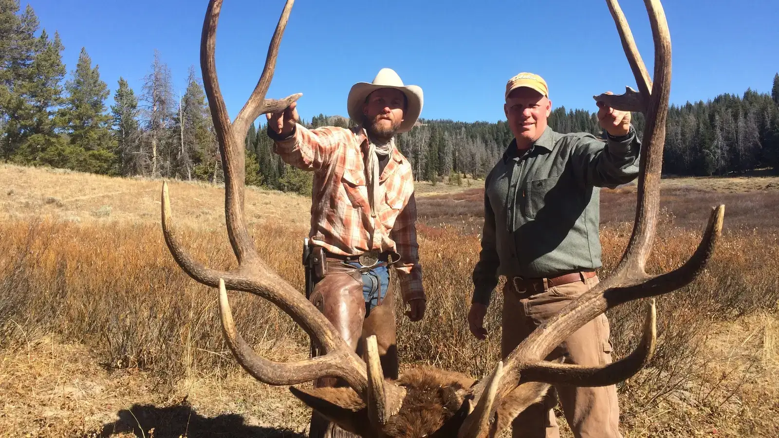 wyoming elk hunting outfitters