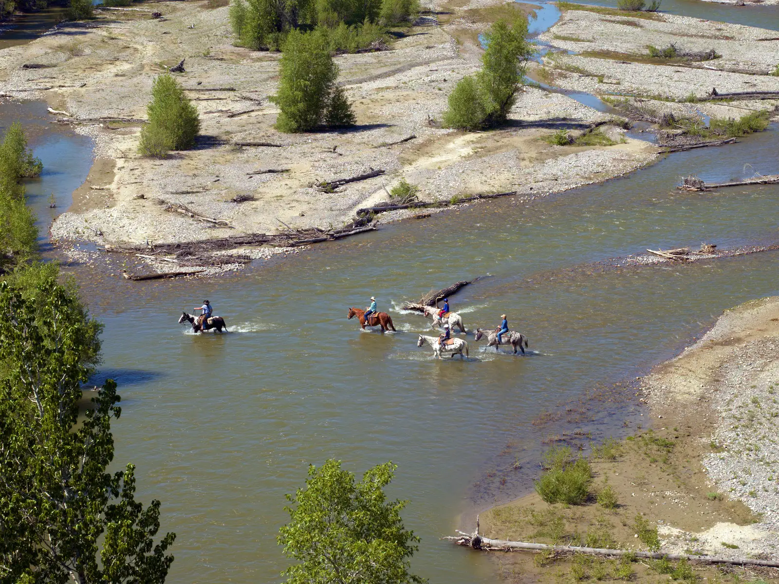 swift creek outfitters