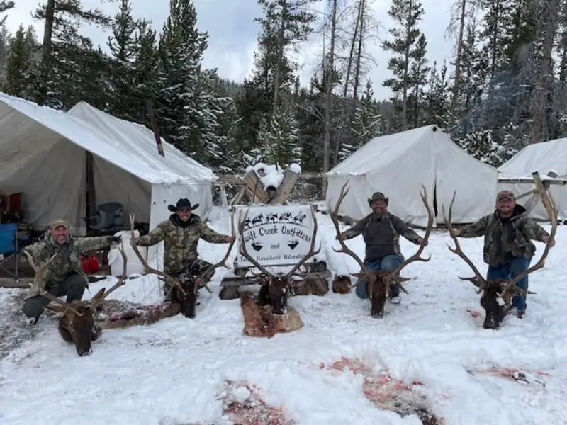 wyoming elk hunting outfitters