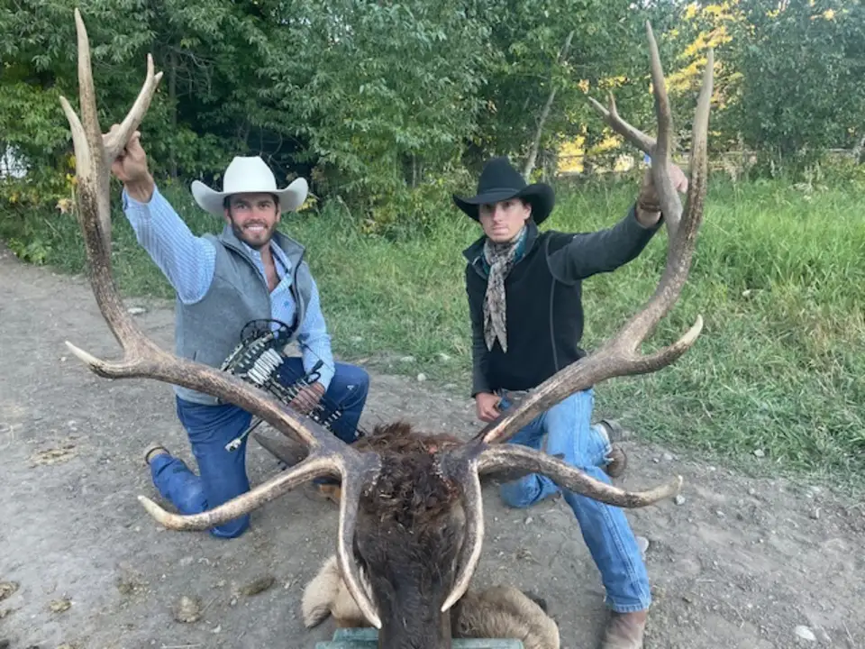 wyoming elk hunting outfitters